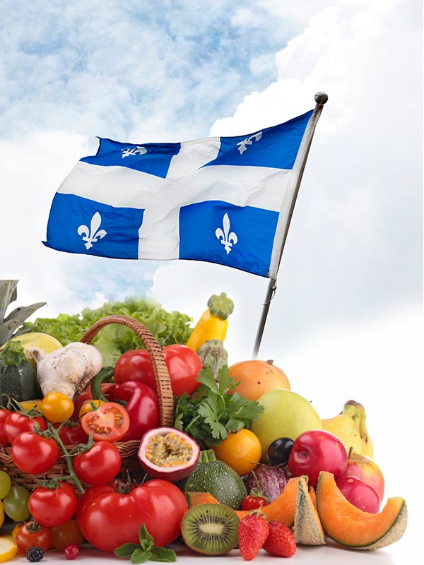 Panier de légumes variés 100% Québécois